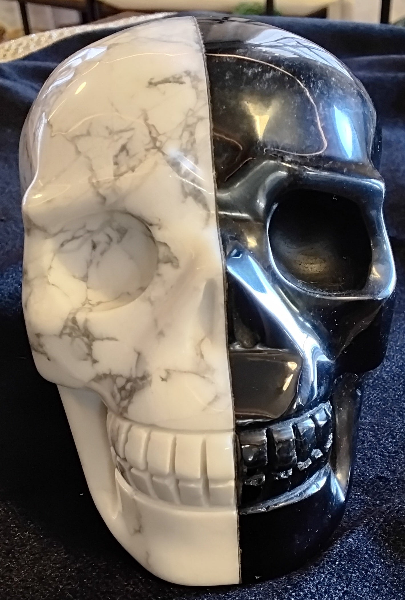 Silver Obsidian/Howlite Skull